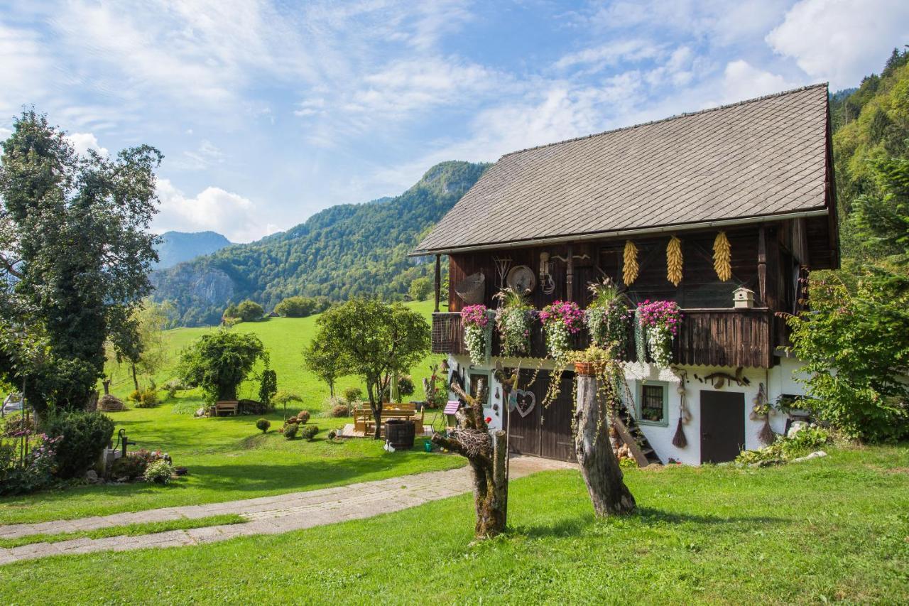 Apartments Green Paradise Bohinjska Bela Exteriér fotografie