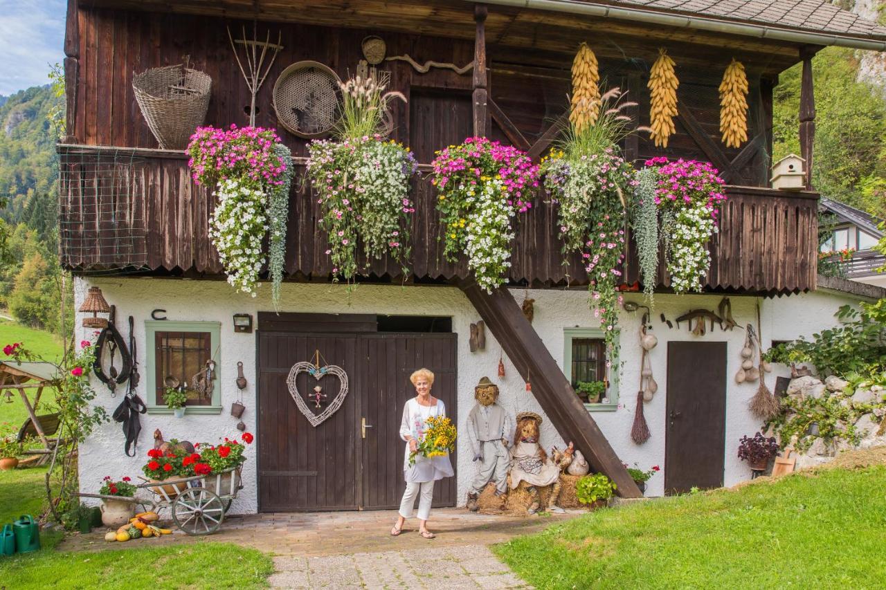 Apartments Green Paradise Bohinjska Bela Exteriér fotografie