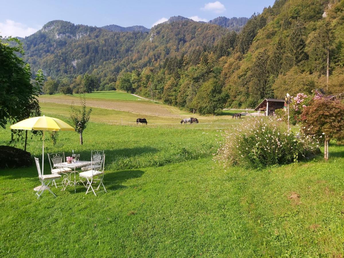 Apartments Green Paradise Bohinjska Bela Exteriér fotografie