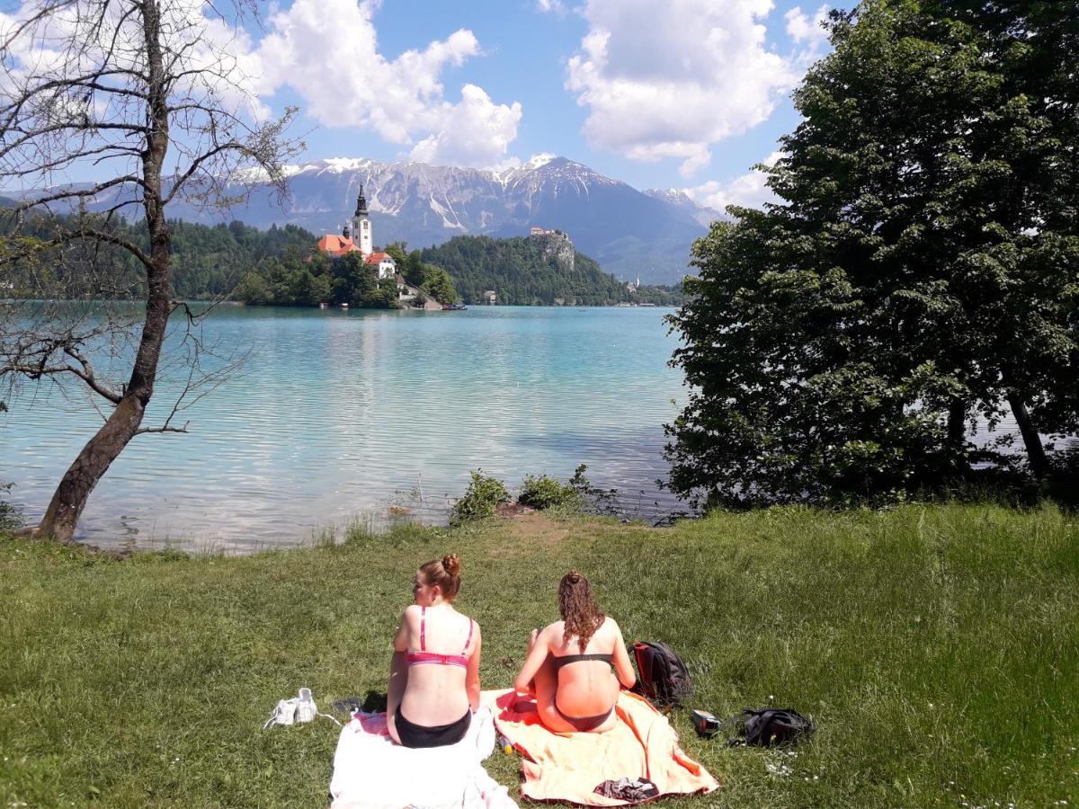 Apartments Green Paradise Bohinjska Bela Exteriér fotografie
