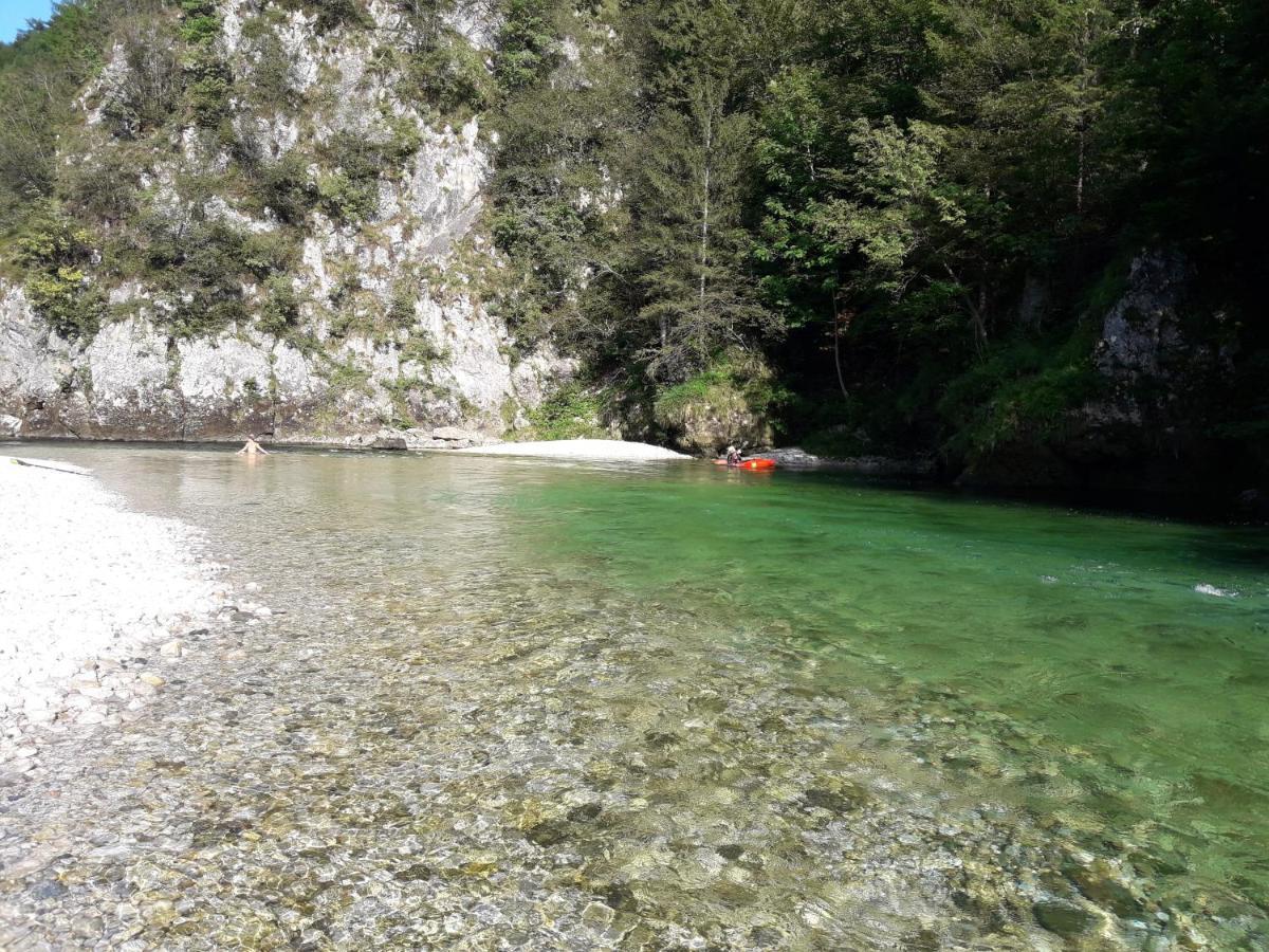 Apartments Green Paradise Bohinjska Bela Exteriér fotografie