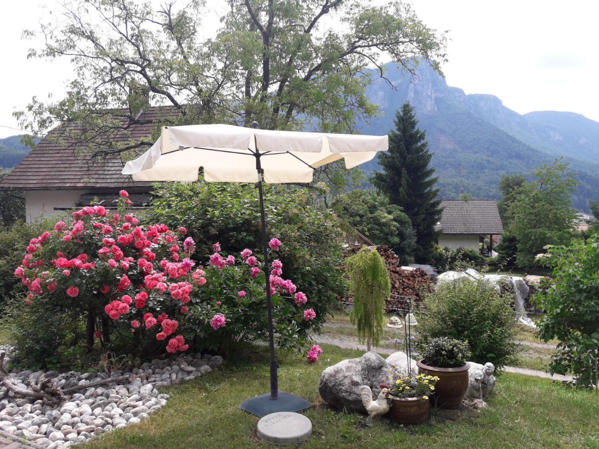Apartments Green Paradise Bohinjska Bela Exteriér fotografie