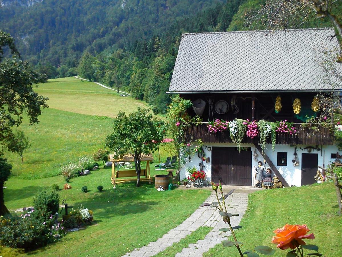 Apartments Green Paradise Bohinjska Bela Exteriér fotografie