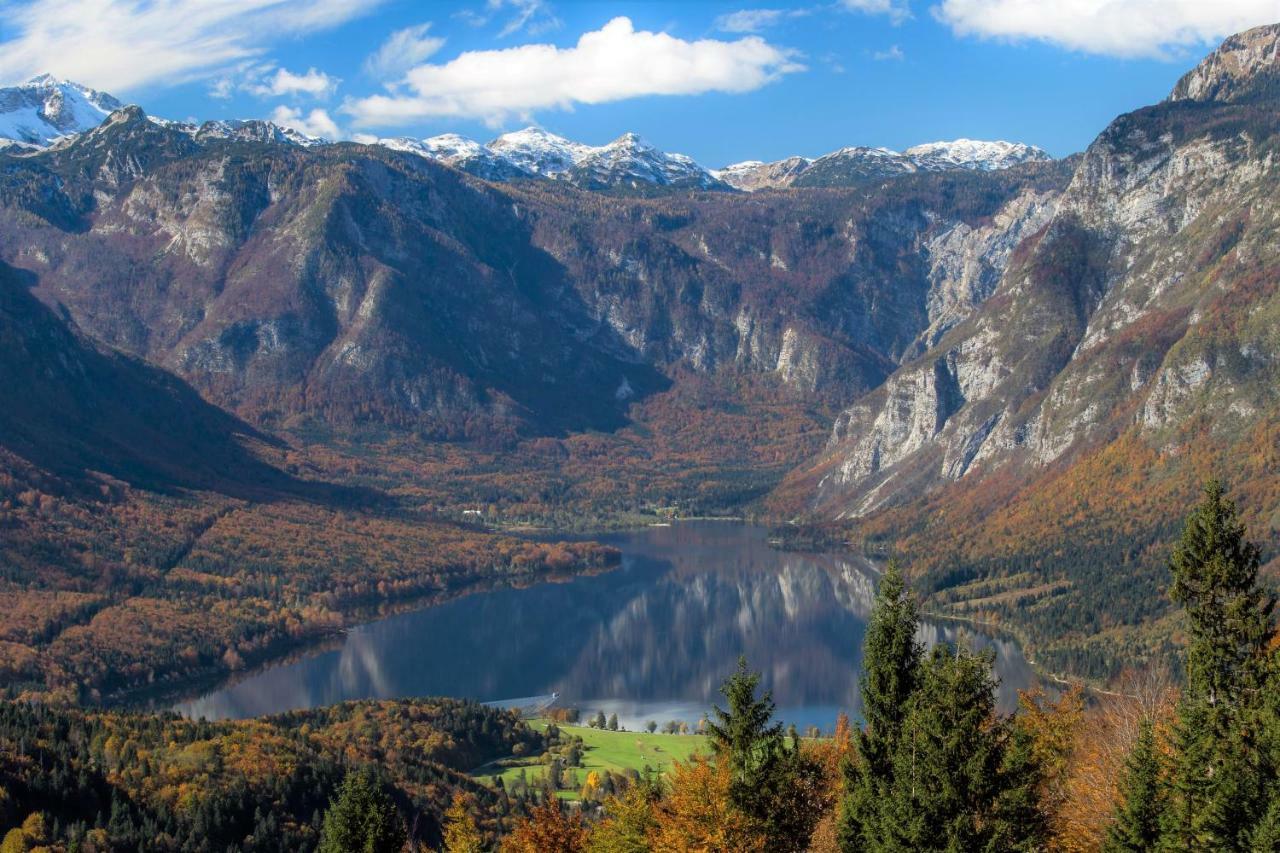 Apartments Green Paradise Bohinjska Bela Exteriér fotografie